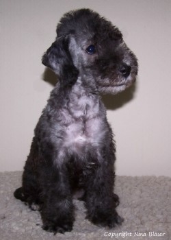 Alanna 21052006-1 - Kopie.jpg - ASCII